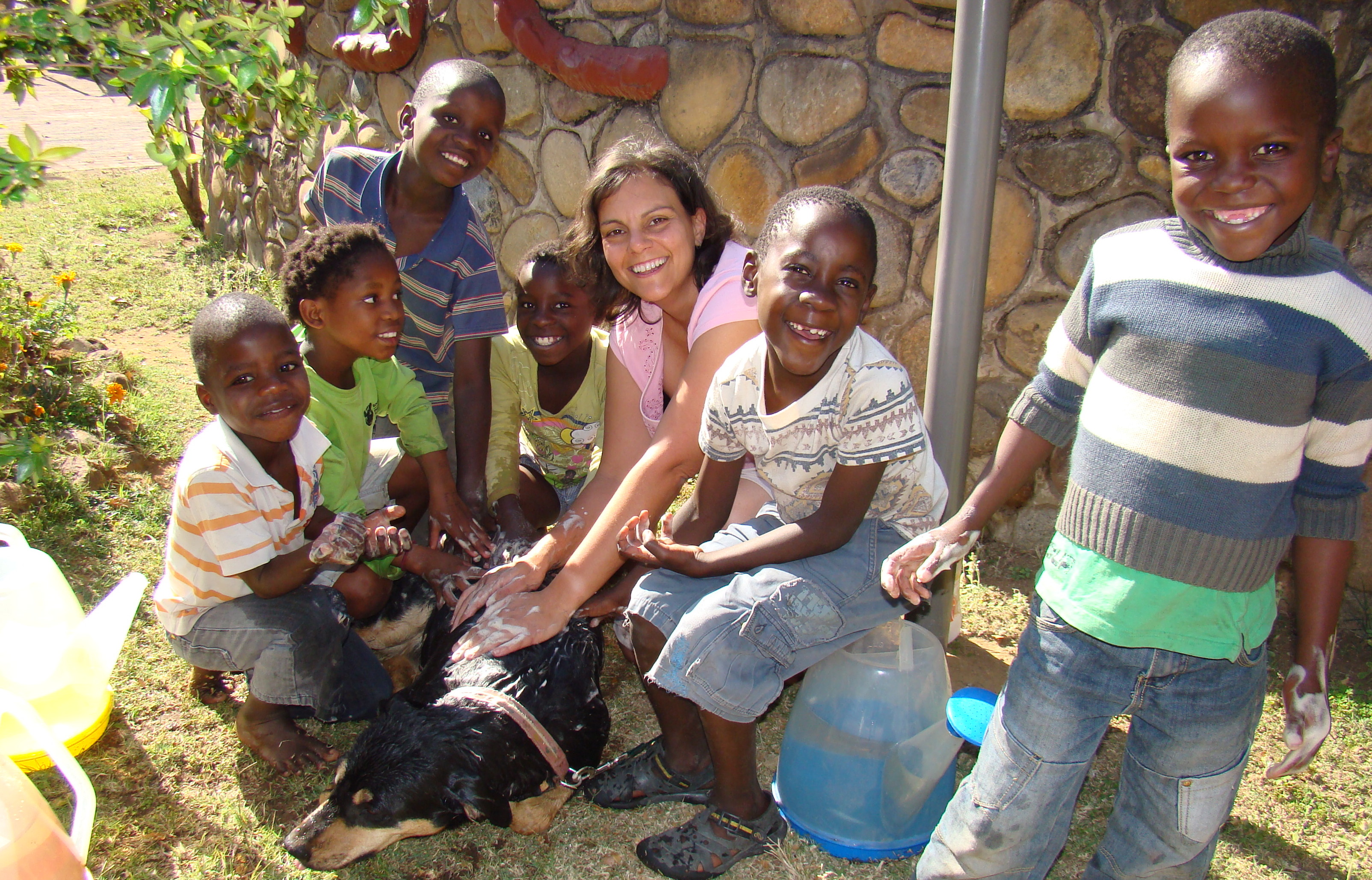 Volunteer in South Africa washing a dog with local children
