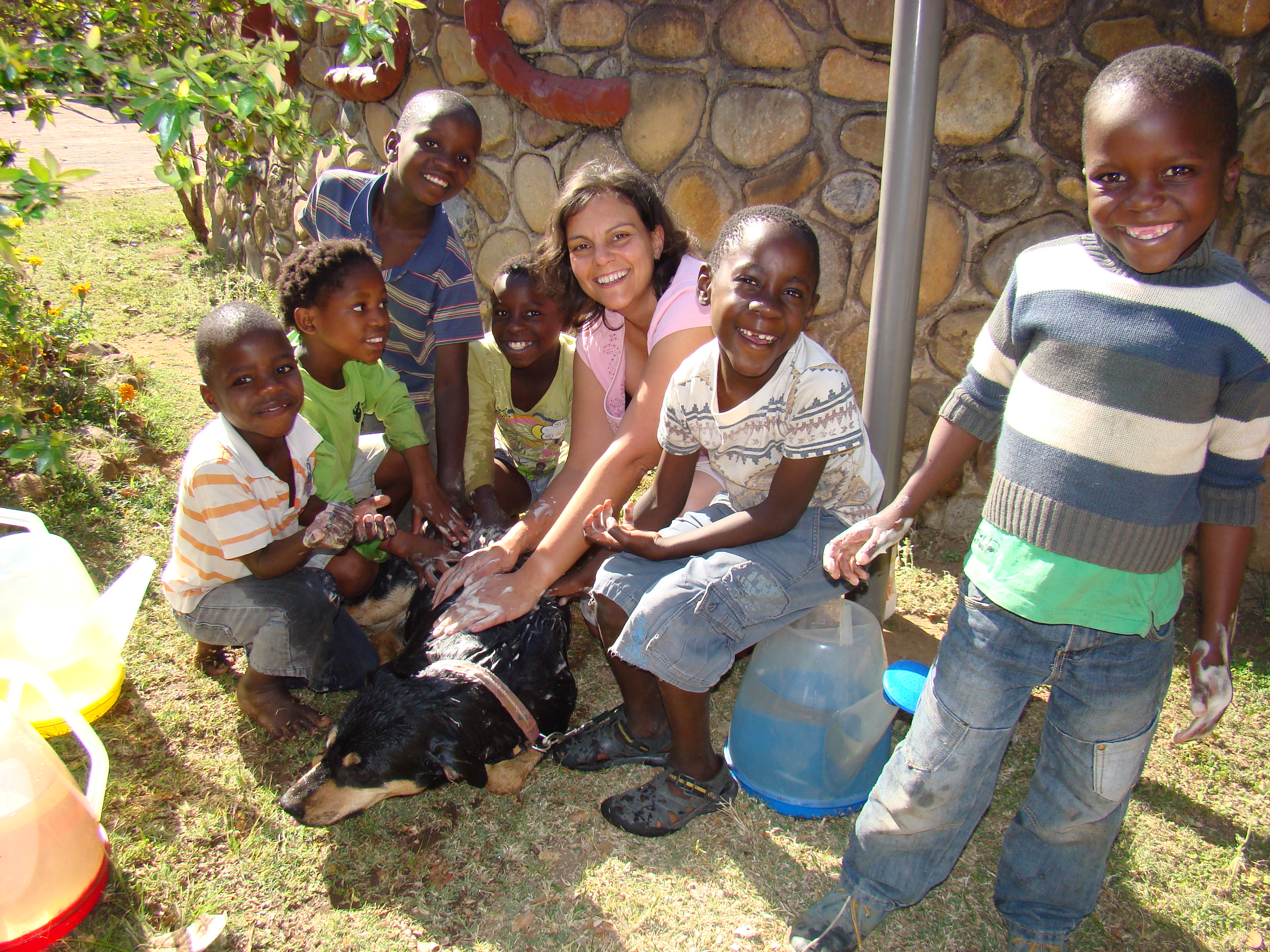 Volunteer in South Africa washing dog with local children