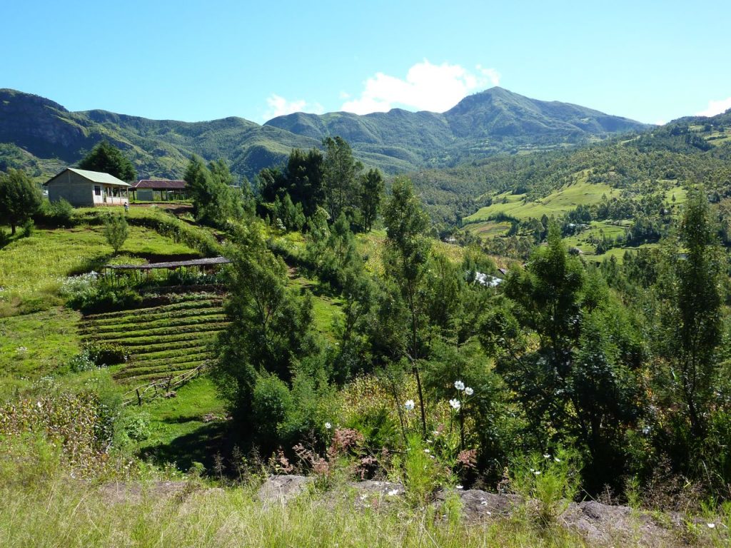 Hatubuilico hills