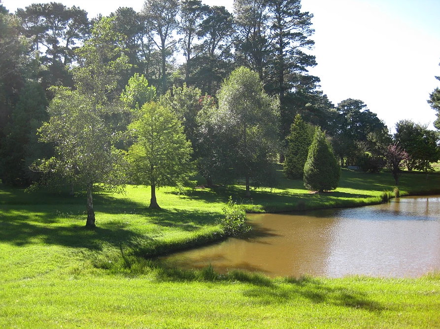 Lush green grass and lake at Hartzer Park, Bowral