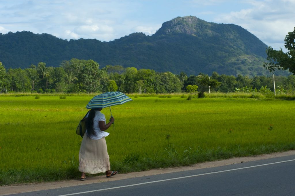 Lady holding umbrella walking past green plain